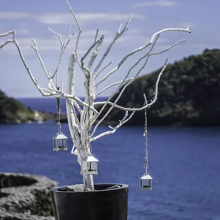 Gasthuis 374 Ck Seaside 4*